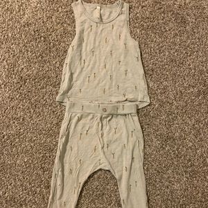 Rylee and Cru 12-18 Month Set. Carrot design.